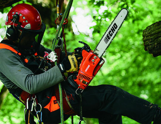 Echo CS-362TESC 30cm Carving 3.6кг с шина Carving шина 30см и Easy Start