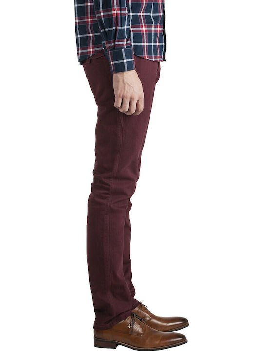 Chibo Pantaloni Burgundy