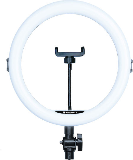 AgfaPhoto Realiview ARL11 Ring Light 28cm With Desktop Tripod And Mobile Phone Holder