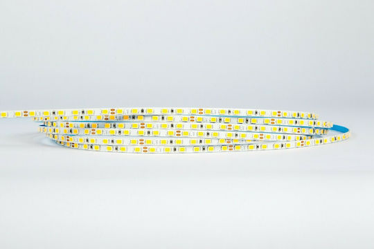 VK Lighting Ταινία LED 24V Φυσικό Λευκό Φως 5m Τύπου SMD2835