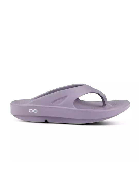 Oofos Ooriginal Recovery Women's Flip Flops Purple