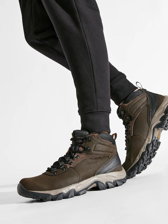 Columbia Newton Ridge Plus II Men's Hiking Boots Cordovan / Squash