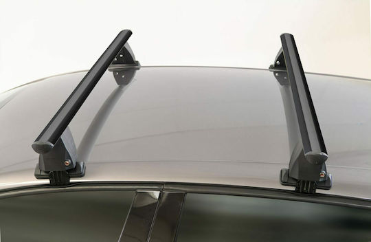 Menabo Delta 123cm. for Cars with Factory Bars (with Roof Rack Legs) Black