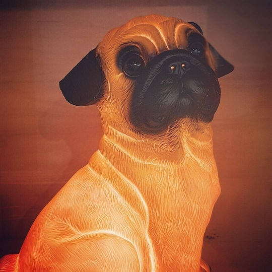 Egmont Lumini LED Lampă decorativă pentru copii Bulldog 27x20cm
