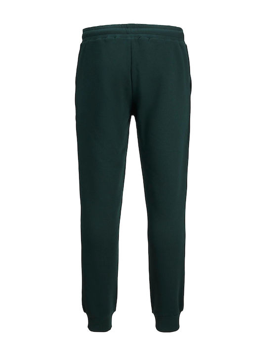 Gordon Sweatpants with Elastic Pine Grove