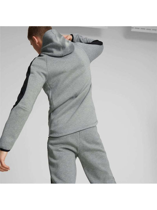 Evostripe Sweatshirt Für Herren Mit Kapuze Grau