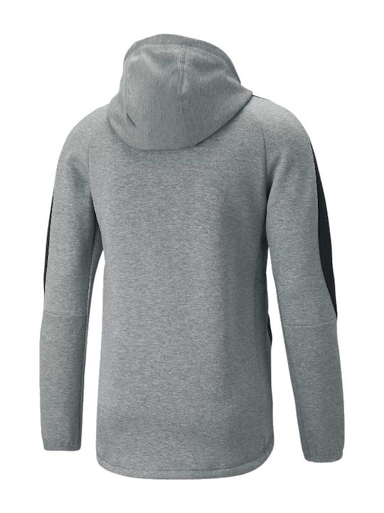 Evostripe Sweatshirt Für Herren Mit Kapuze Grau