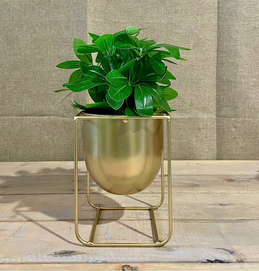 JK Home Decoration Horus Κασπώ Μεταλλικό Χρυσό