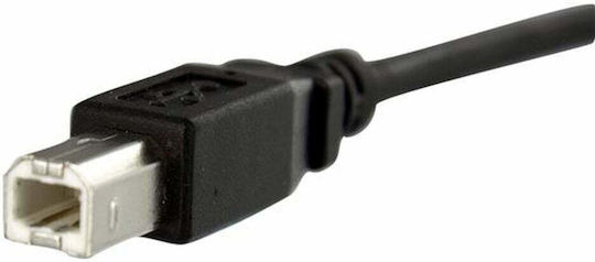 StarTech USB 2.0 Кабел USB-B мъжки - USB-B женски Черен 0.9м USBPNLBFBM3