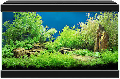 Ciano Aqua 20 Fish Aquarium Capacity 17lt with Lighting, Filter and 40x20x26cm. Black