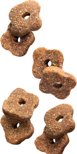 Euro Premium Senior 3kg Hrană Uscată fără Cereale & Gluten pentru Câini Seniori cu Miel și Orez