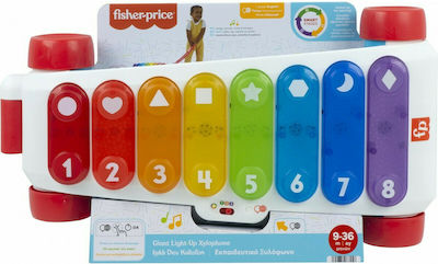 Fisher Price Xilofon pentru 1+ Ani