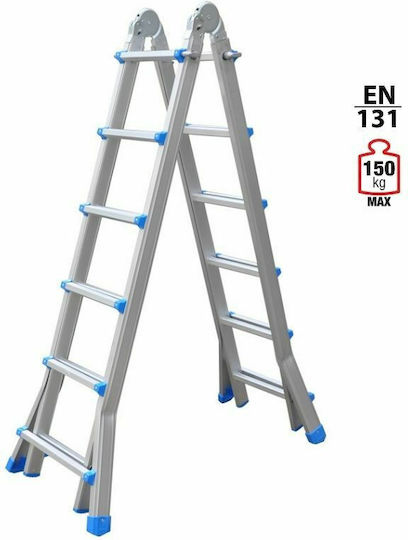 Vesta Dublu Scara combinata Aluminiu 2x6
