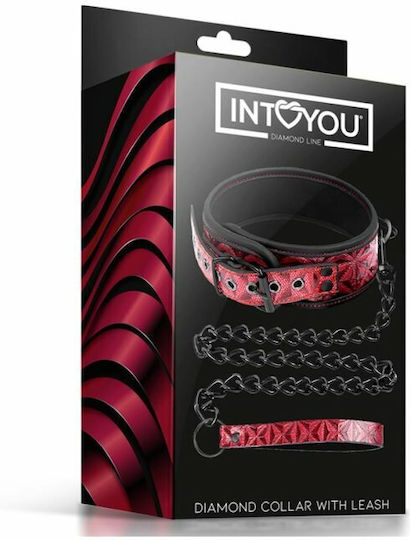 IntoYou Diamond Line Collar With Leash Guler în Culoare Roșu