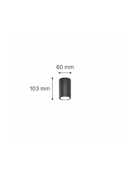 Inlight Chelan Outdoor Ceiling Spot GU10