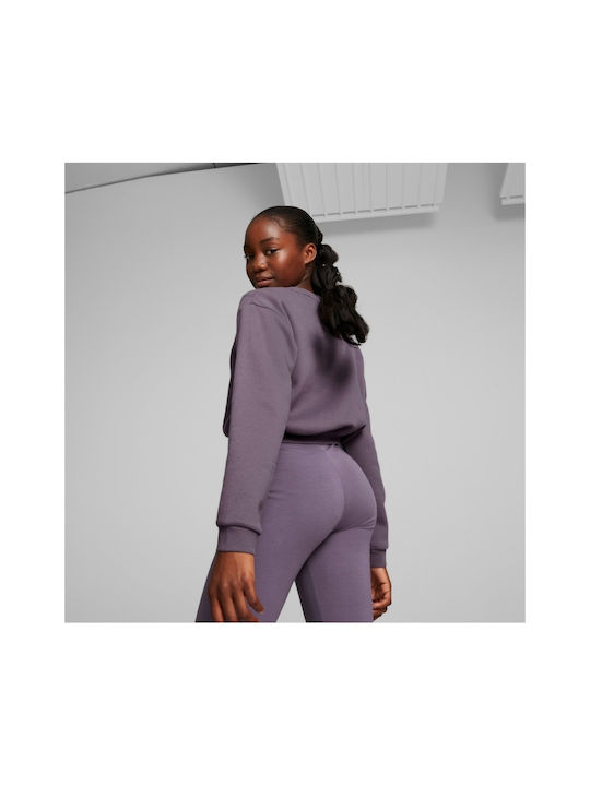 Kids Sweatshirt Cropped with Hood Purple Classics