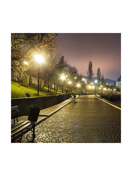 V-TAC Εξωτερικό Φωτιστικό LED Δρόμου 50W με Ψυχρό Λευκό Φως IP65 Γκρι