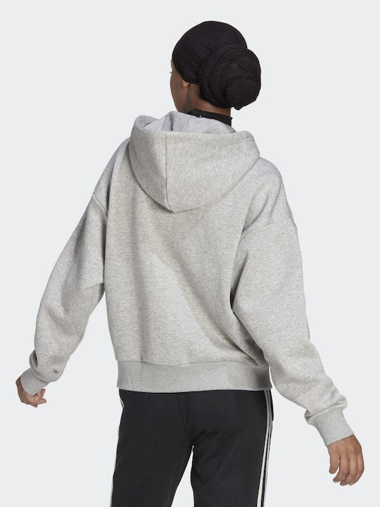 adidas Jacket Gray with Hood