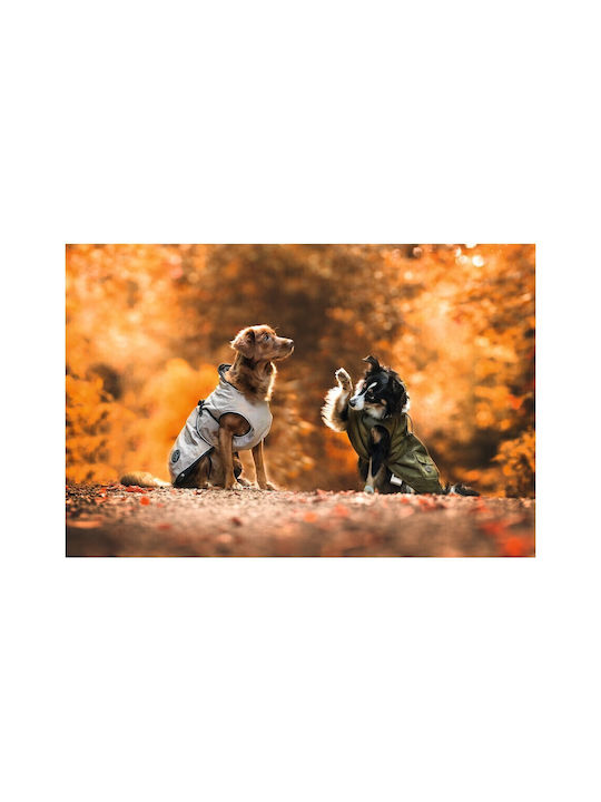 Hunter Norton 360 Uppsala Haine pentru câini Impermeabil Maro cu Lungimea Spateului 40 cm