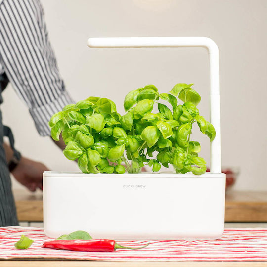 Click and Grow Σπόροι Βασιλικός 3τμχ