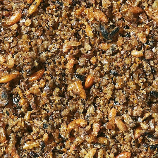 Versele Laga Nutribird Insect Pate Τροφή για Εντομοφάγα Πτηνά 0.25kg