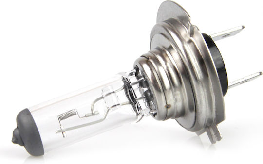 AMiO Λάμπα Αυτοκινήτου H7 Αλογόνου 12V 55W