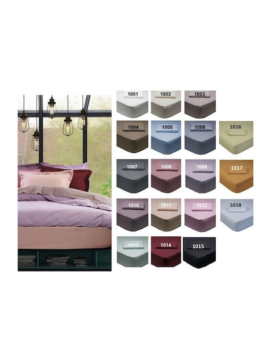Das Home Sheet for Single Bed with Elastic 100x200+35cm. 1004 Brown