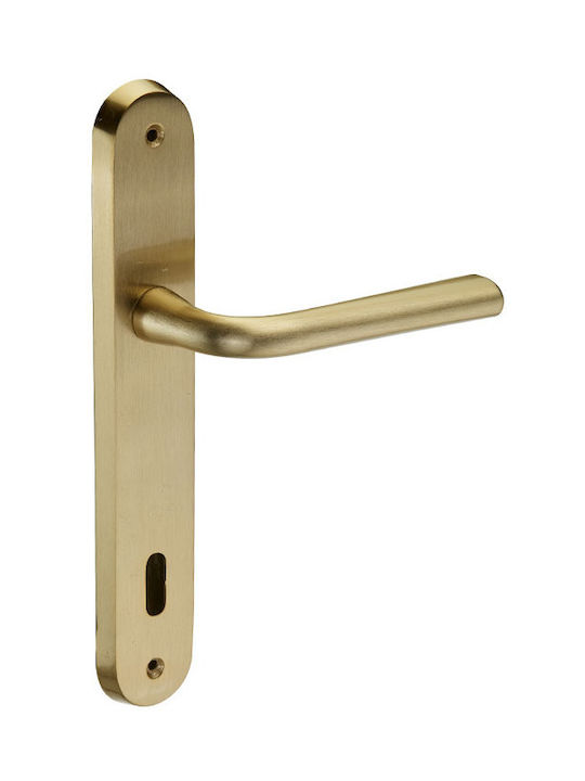 Viobrass Lever Front Door with Plate Right 65 65 Gold