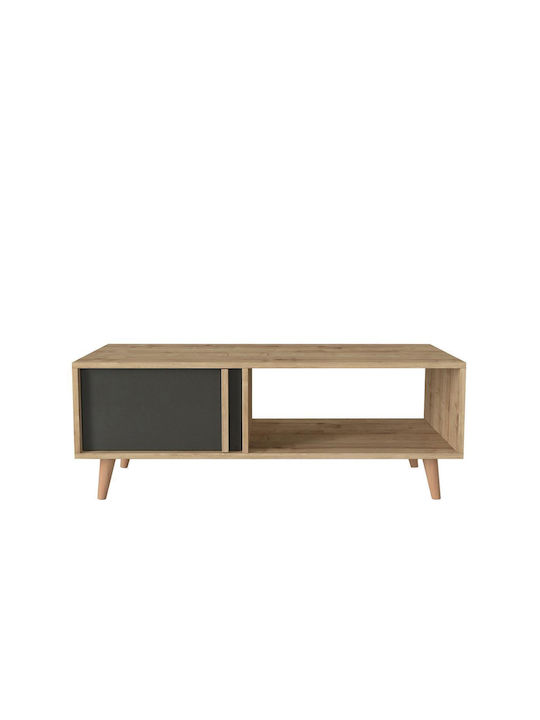 Rectangular Central Coffee Table Andros Wooden Natural / Anthracite W120xL60xH45cm