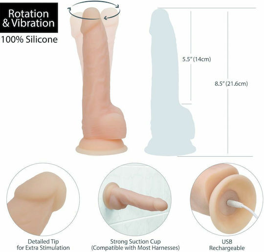 BMS Factory BMS Rotating Vibrating Dong Realistic Vibrator 20cm Carne