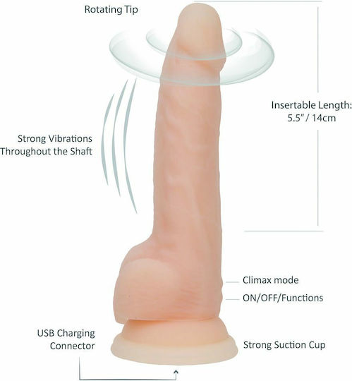 BMS Factory BMS Rotating Vibrating Dong Realistic Vibrator 20cm Carne