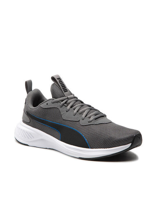 Incinerate Sport Shoes Training Gray