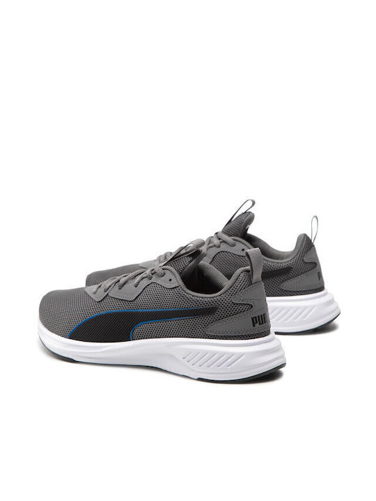Incinerate Sport Shoes Training Gray