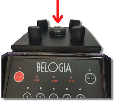 Belogia Μανιτάρι Κομπλέρ για Μπλέντερ Belogia BL 6MC