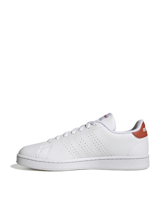 Advantage Sneakers Cloud White / Altered Amber