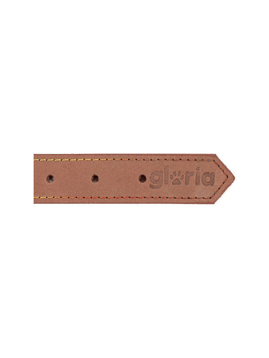 Gloriapets Oasis Dog Collar Leather In Brown Colour 25mm x 55cm