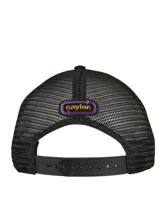 Cayler & Sons