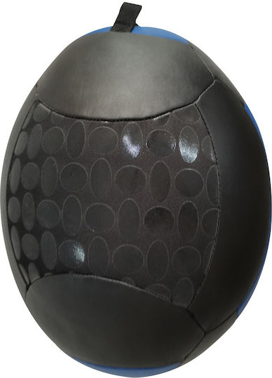 Luxury Fitness Μπάλα Wall 9kg σε Μπλε Χρώμα