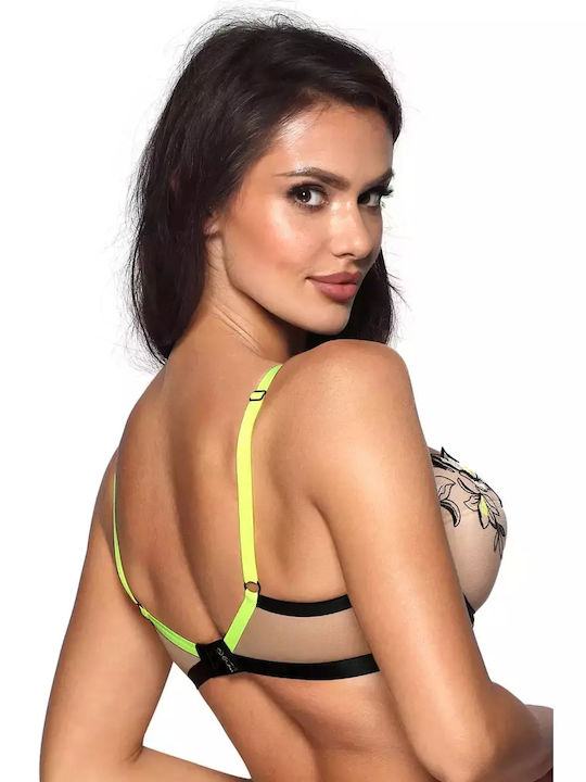Axami Axami