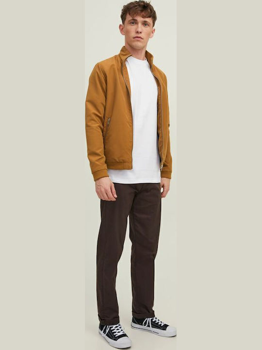 Winter Jacket Bomber Rubber