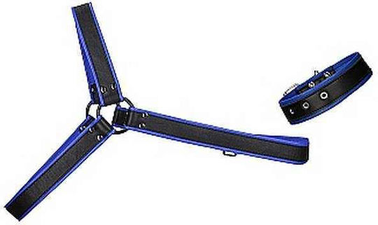 Shots Ouch Gladiator Harness With Arm Band Black / Blue