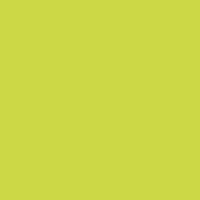 Royal Talens Extra Fine Tempera Paints Greenish Yellow 243 in Tube 20ml 1pcs