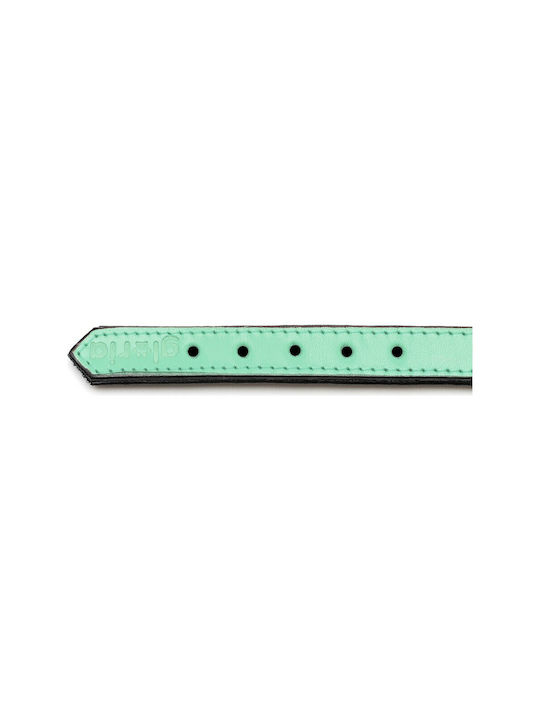 Gloriapets Soft Padded Dog Collar Leather In Green Colour 20mm x 40cm