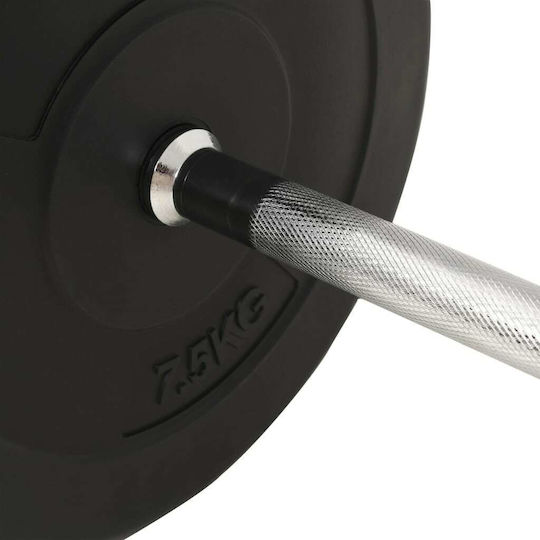 vidaXL Straight Bar Φ25mm Set with Strength Training Weight 30kg 120cm Length with Pegs