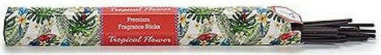 BigBuy Αρωματικά Sticks με Άρωμα Τροπικό S3604190