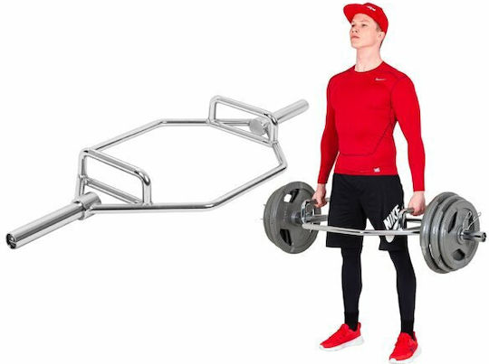 inSPORTline Kreuzheben Olympic Type Φ50 22kg Length 140cm with Collars