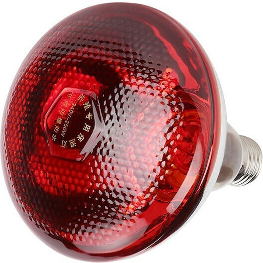 Philips Infrared Lamp 250W for Socket E27