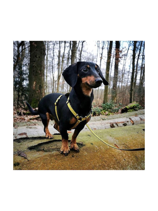 Max & Molly Нагръдник за куче Ruler Жълт Small 15мм x 41-52см MM0061