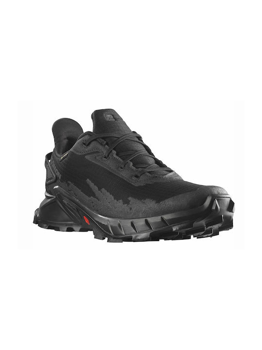 Salomon Salomon