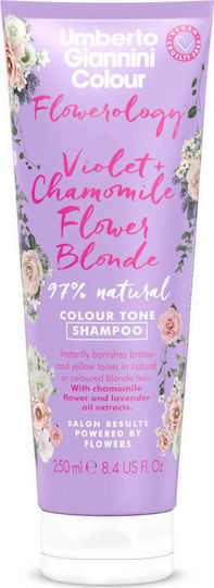 Umberto Giannini Flowerology Violet & Chamomile Flower Blonde Colour Tone Shampoo 250ml